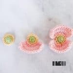 colorful poppy flowers